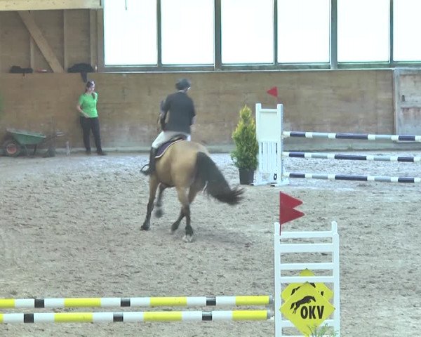Reitturnier Rüti 2018