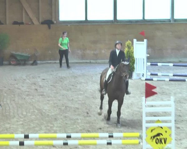 Reitturnier Rüti 2018