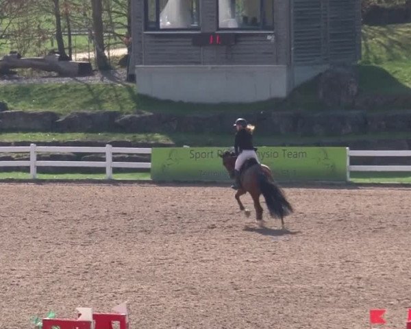 Reitturnier Kreuth 2018