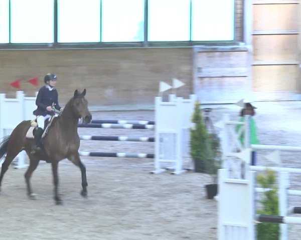 Reitturnier Rüti 2018