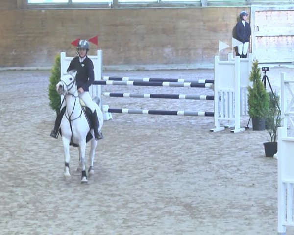 Reitturnier Rüti 2018