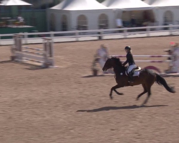 Reitturnier Kreuth 2018