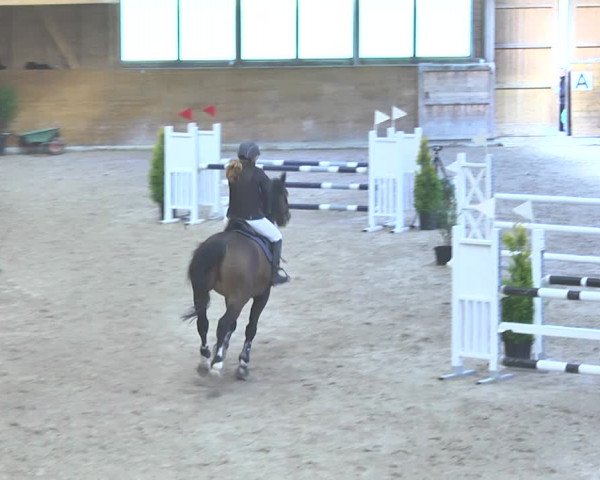 Reitturnier Rüti 2018
