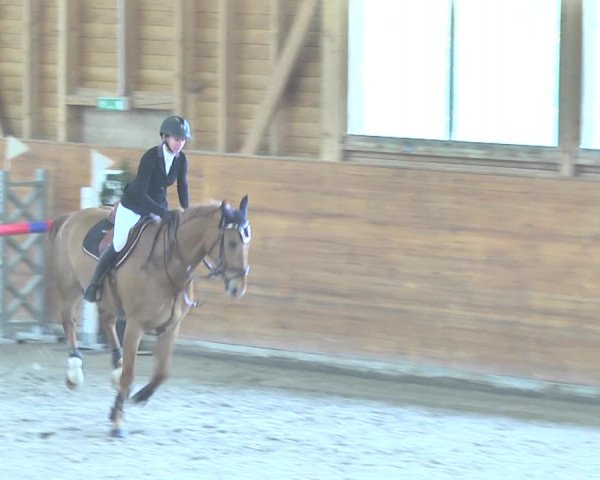 Reitturnier Rüti 2018