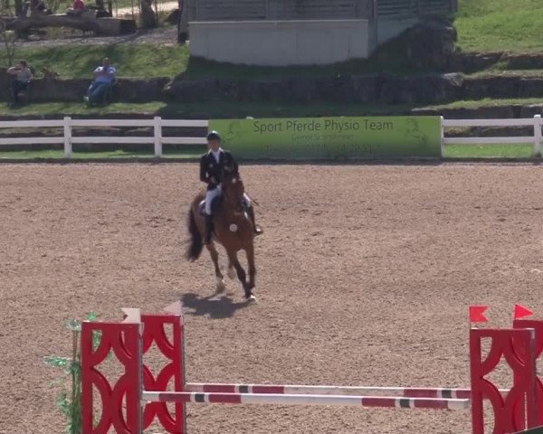 Reitturnier Kreuth 2018