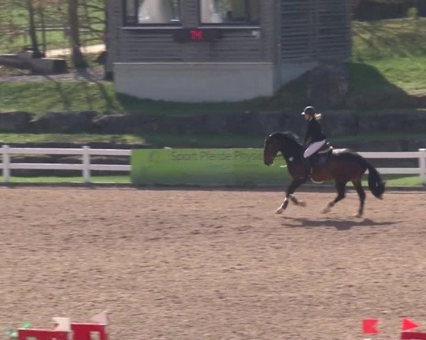 Reitturnier Kreuth 2018