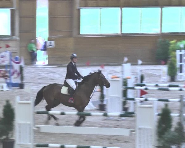 Reitturnier Rüti 2018