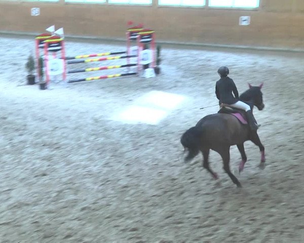 Reitturnier Rüti 2018