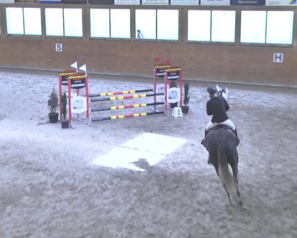 Reitturnier Rüti 2018