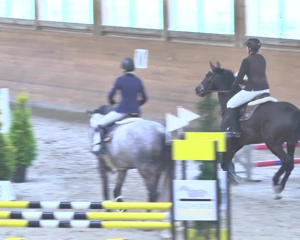 Reitturnier Rüti 2018