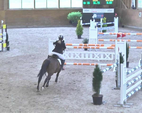 Reitturnier Rüti 2018