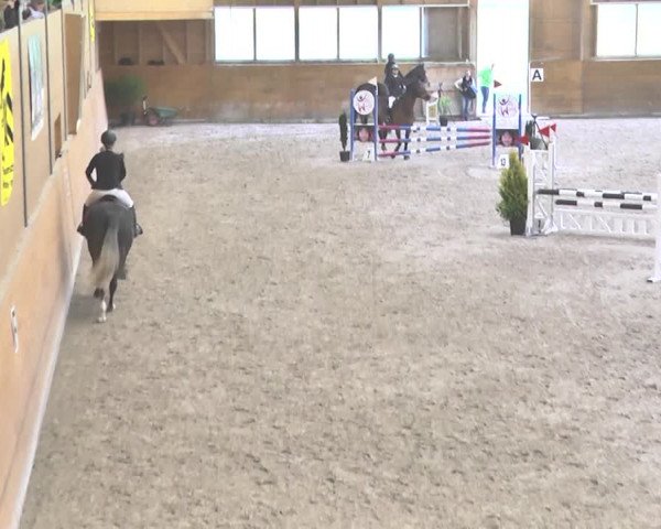 Reitturnier Rüti 2018