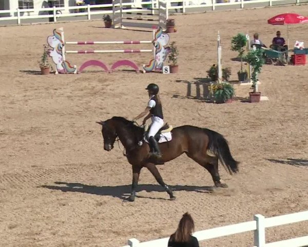 Reitturnier Kreuth 2018