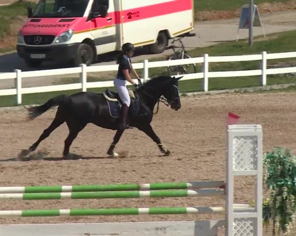 Reitturnier Kreuth 2018