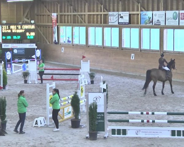 Reitturnier Rüti 2018