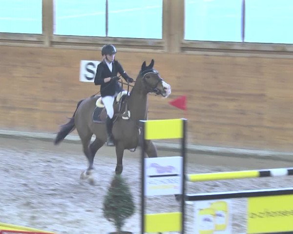 Reitturnier Rüti 2018