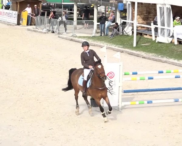 Reitturnier Horn 2018