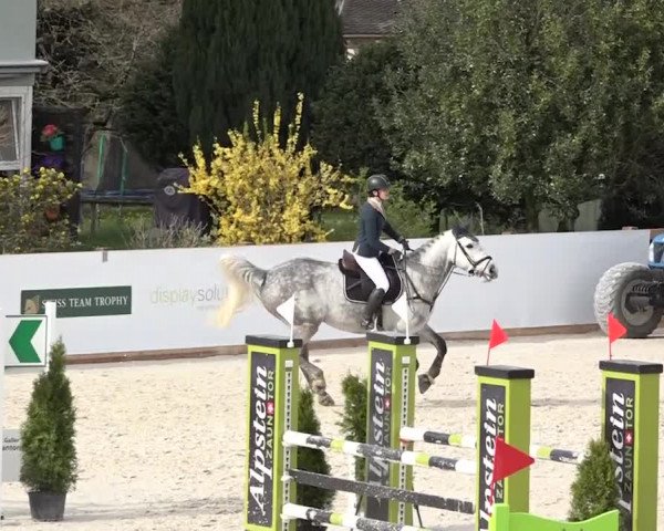Reitturnier Horn 2018