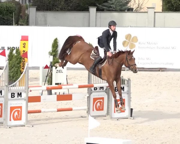 Reitturnier Horn 2018