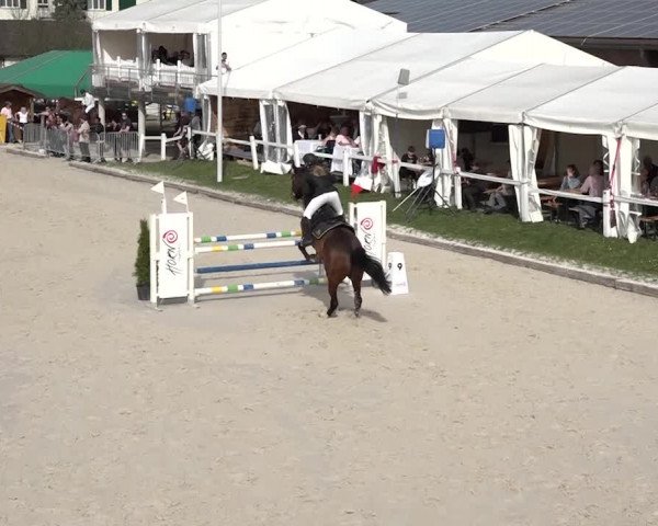 Reitturnier Horn 2018