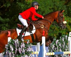 broodmare Andorra (KWPN (Royal Dutch Sporthorse), 2005, from VDL Cardento 933)