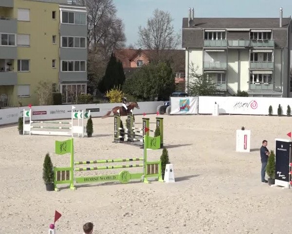 Reitturnier Horn 2018