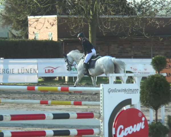 Lenklarer Reitertage 2018