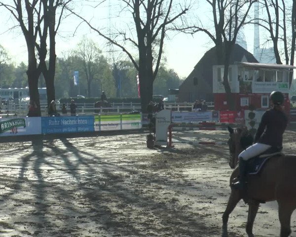 Lenklarer Reitertage 2018