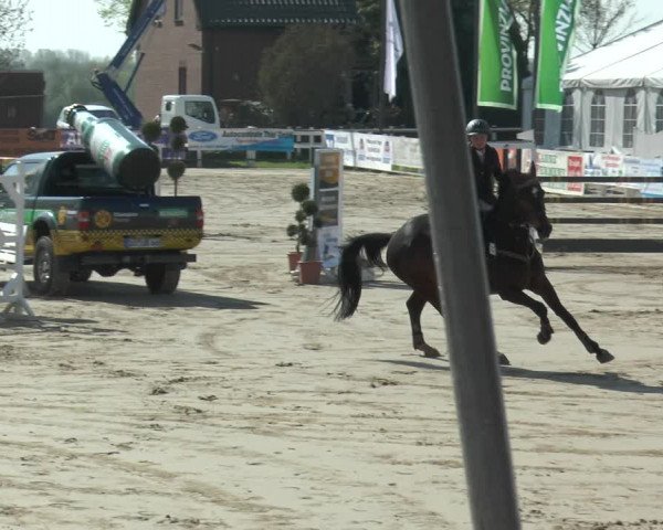 Lenklarer Reitertage 2018