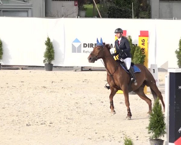 Reitturnier Horn 2018