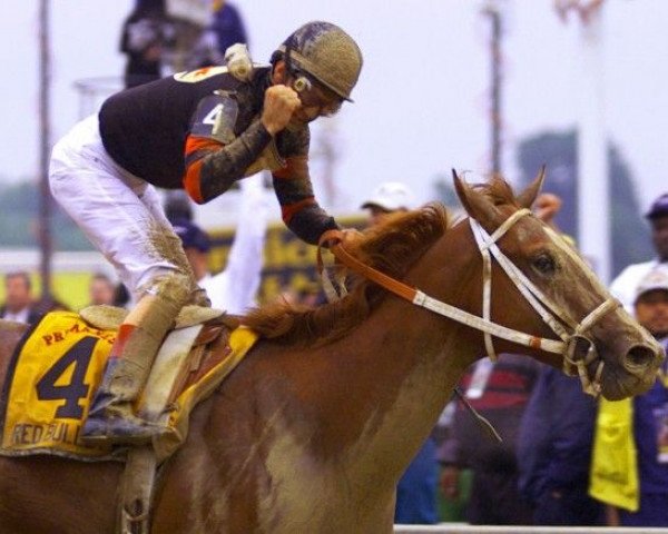 Deckhengst Red Bullet xx (Englisches Vollblut, 1997, von Unbridled xx)
