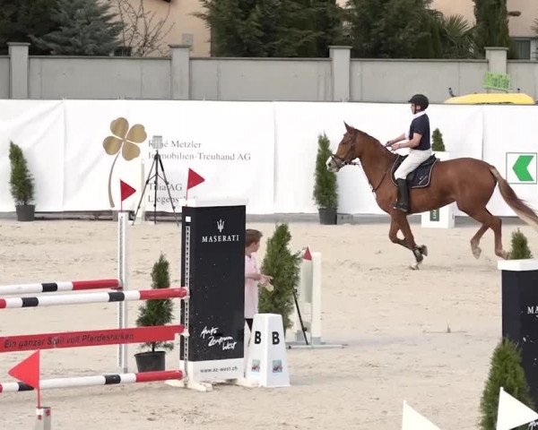 Reitturnier Horn 2018