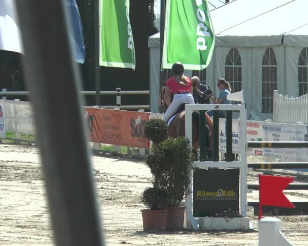 Jezdecký turnaj Werne-Lenklar 2018