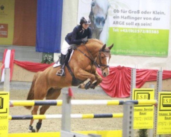 broodmare Laquenn (Bavarian, 2006, from Landor S)