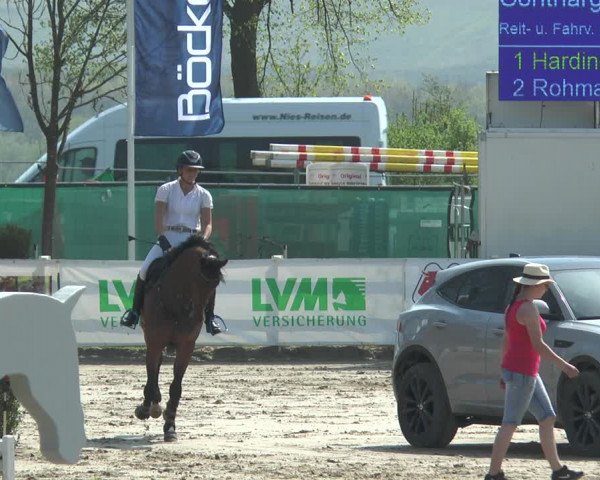 Jezdecký turnaj Werne-Lenklar 2018