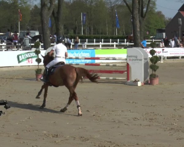 Reitturnier Werne-Lenklar 2018