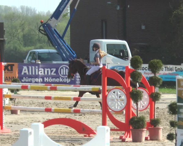 Reitturnier Werne-Lenklar 2018
