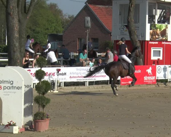 Lenklarer Reitertage 2018