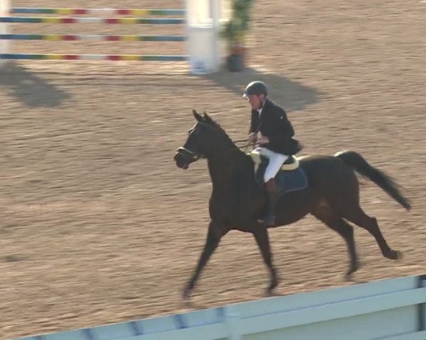 Reitturnier Kreuth 2018
