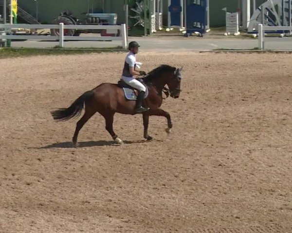 Reitturnier Kreuth 2018