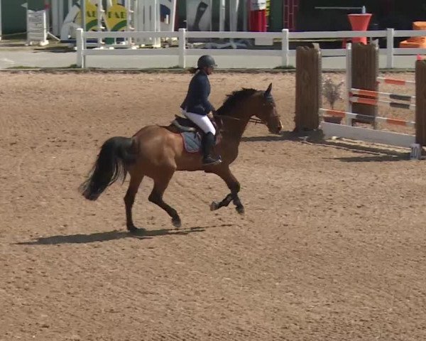 Reitturnier Kreuth 2018