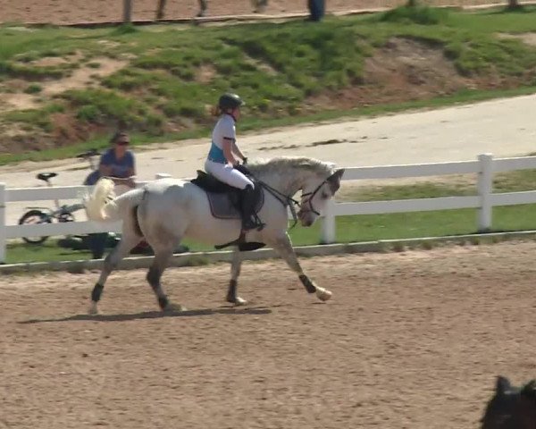 Reitturnier Kreuth 2018