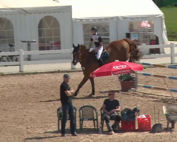 Reitturnier Kreuth 2018