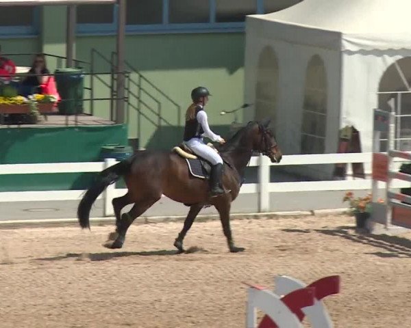 Reitturnier Kreuth 2018