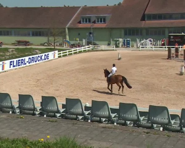 Reitturnier Kreuth 2018