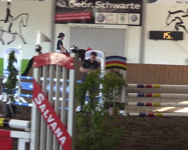 Reitturnier Dohren 2018