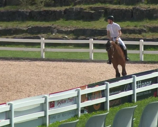 Reitturnier Kreuth 2018