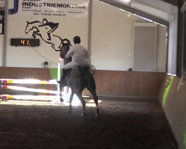 Reitturnier Dohren 2018