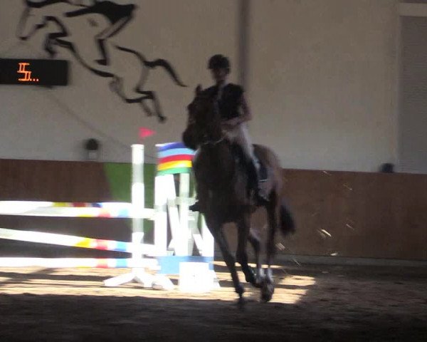 Reitturnier Dohren 2018