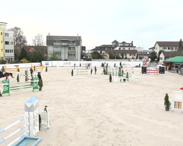 Reitturnier Horn 2018